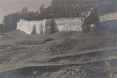 Historical street view of Vilnia city featuring the Rosy lane and Vizytak monastery in 1919