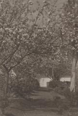 Historical black and white photograph of Vilnia, Rosy alley showing the Vizytak monastery in 1919