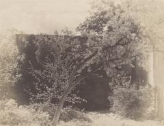 Historical view of Vilnia street Rosy with Vizitzky Monastery in 1919