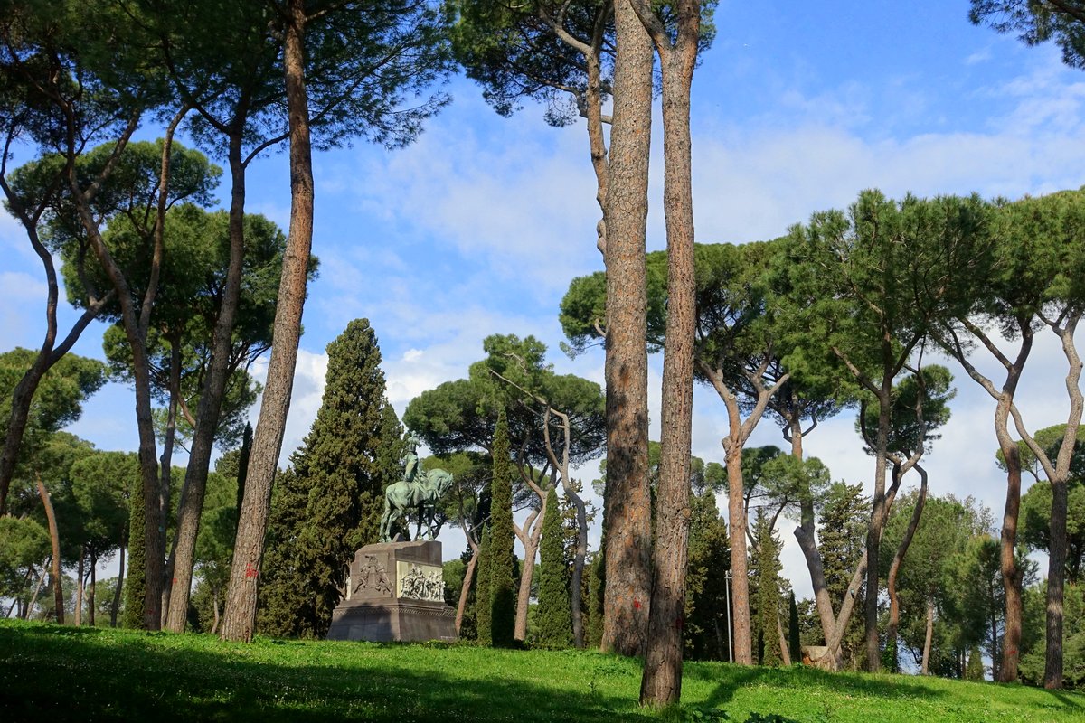 Scenic view of pine trees in Villa Borghese park in Rome, Italy