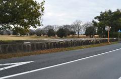 Heijo Palace Tamate-mon Gate Ruins in Nara, Japan