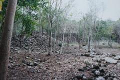 Uxmal archaeological site with ancient Maya pyramids in Yucatan Mexico
