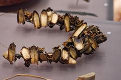 Amulet from the Eeyou people made of duck beaks and brass