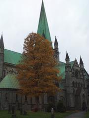 Nidaros Cathedral illuminated with autumn foliage from north perspective