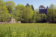 Ruins of Weissenau Abbey in Unterseen with mountainous backdrop