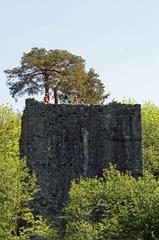 Ruins of Weissenau Castle in Unterseen surrounded by greenery