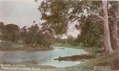 River scene with boats and trees in Parramatta Park