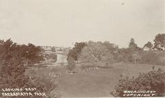 Looking East over Parramatta Park with greenery and a clear sky