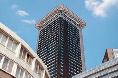 Strijkijzer skyscraper in The Hague cityscape