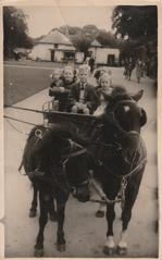 Children enjoying a pony carriage ride at Dublin Zoo in 1954