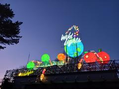 Dublin Zoo Wild Lights vibrant lantern displays at night