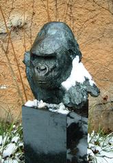 Bronze bust of gorilla named Matze at the entrance of the Ape House in Zoo Frankfurt