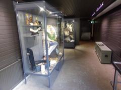 Exhibition of confiscated illegal animal products at Korkeasaari Zoo