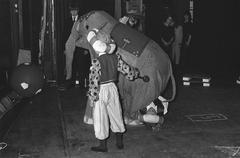 Black and white photo of an elephant trainer performing a dangerous trick with an elephant at Circus Elleboog in the new De La Mar Theater
