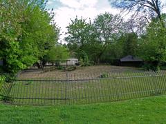Vicugna enclosure at Warsaw Zoo with grassy terrain and rocky area