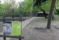 Vicugna enclosure at Warsaw Zoo in Poland