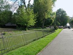 Warsaw Zoo Vigonia enclosure with Vigonia animal