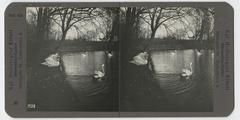 Copenhagen Kastellet moat with swans on the water, historic photo from 1898
