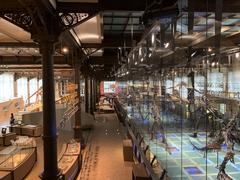Museum Of Natural Sciences Of Belgium