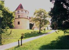 Schloss Hollenegg medieval castle surrounded by trees and greenery