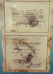 Slave freedom certificate issued by the Imperial British East Africa Company to a female slave victimised by the Arab slave trade, written in Arabic script