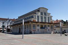 View of Marché de Villebourbon market in Montauban, Tarn-et-Garonne, France