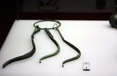 Ancient Roman strigil for body cleansing found in Cologne