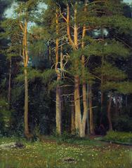 Pine forest at Ligov's painted by Ivan Shishkin in 1895