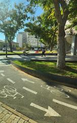 2024 street view in Tel Aviv with city buildings and clear sky