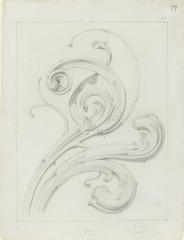 Study of Ash Tree Buds