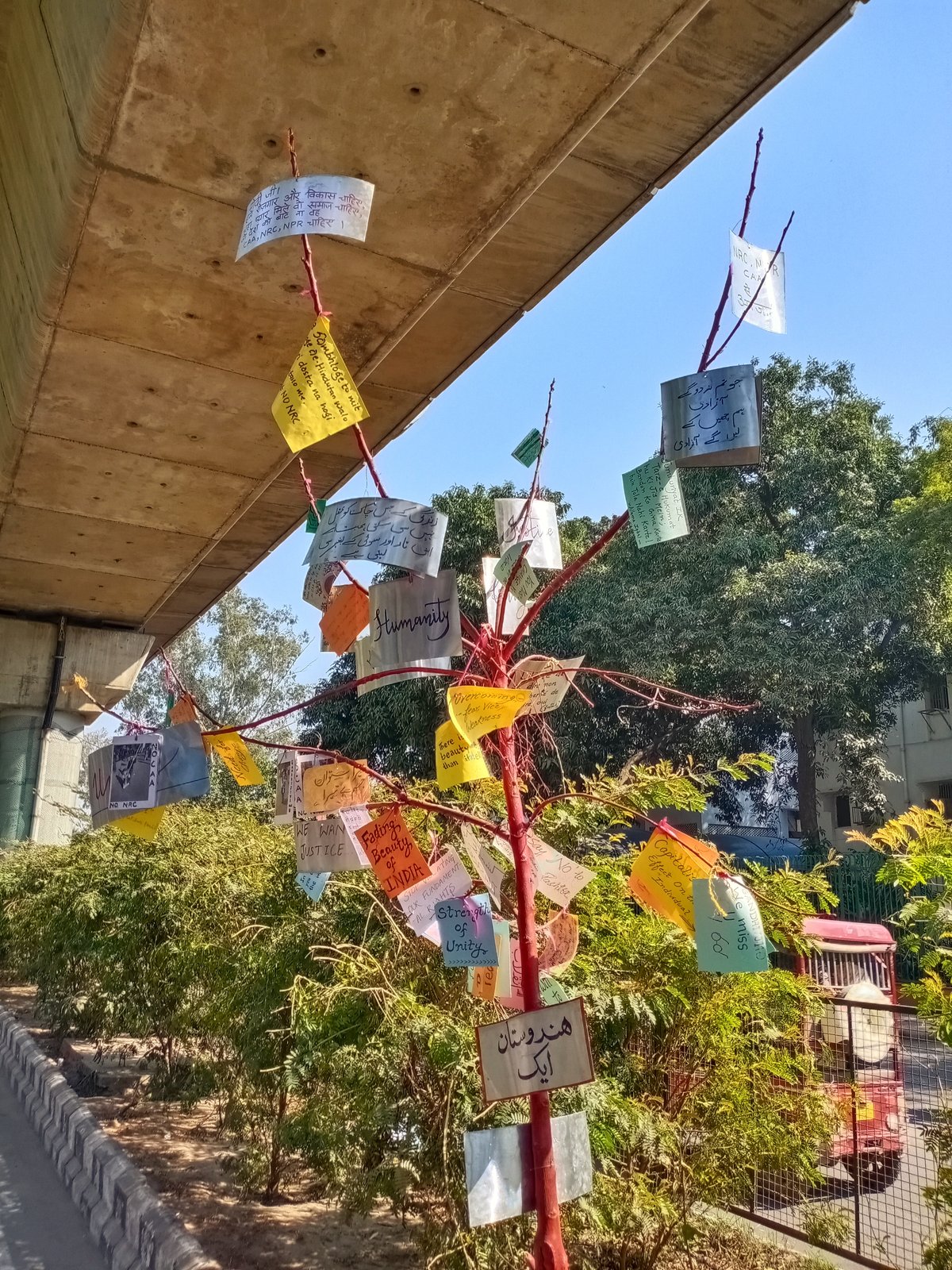 Protest tree with notes and messages outside Jamia Millia Islamia campus on 15 Feb 2020