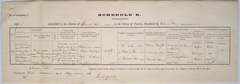 Death certificate of James William Munday dated 11 November 1875 from Emerald Hill, Victoria, Australia