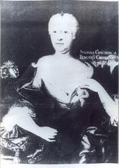 Portrait of Countess Zsuzsanna Bercsényi de Székes