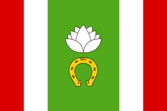 Flag of Molzhaninovskoe municipality in Moscow