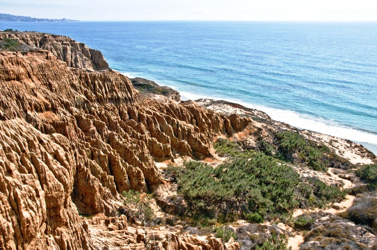 Large-scale coastal erosion at Torrey Pines State Reserve California