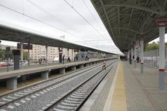 Botanichesky Sad MCC station platform with train and passengers