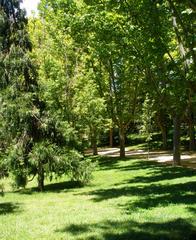 Scenic view of Parque del Oeste with trees and pathways in Madrid
