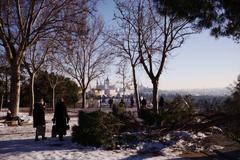 Parque del Oeste scenic view with trees and cityscape in Madrid