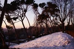 Scenic view of Parque del Oeste with trees and pathways in Madrid