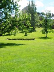 Park with palm trees and walking paths in Parque del Oeste, Madrid