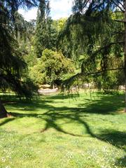 Scenic view of Parque del Oeste with trees and walking paths in Madrid