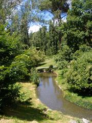 Scenic view of Parque del Oeste in Madrid with lush green trees and a pathway