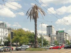 Artificial palm tree with withered leaves at de Gaulle roundabout in Warsaw highlighting climate change