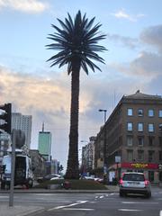 Warsaw Palm art installation on Jerozolimskie Avenue