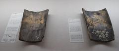 Ancient flat roof tile from Shosoin collection, Japan