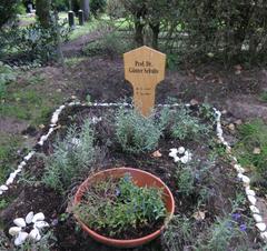 Grave of Günter Schulte at Cologne South Cemetery