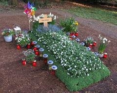 Grave of Hans Schäfer at Südfriedhof cemetery in Cologne