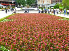 Plaza de Federico Moyúa in Bilbao with central fountain, surrounding buildings and green trees