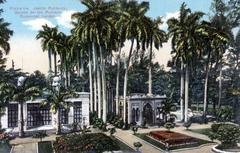 Botanical garden in Havana with lush tropical plants and palm trees under a clear blue sky