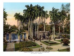 Botanical Garden in Havana with lush greenery and paved walkway
